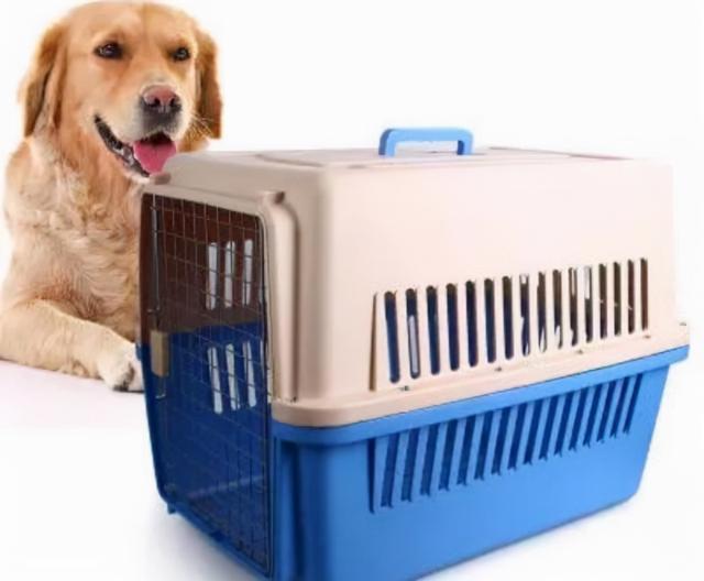 20221121215356_38800