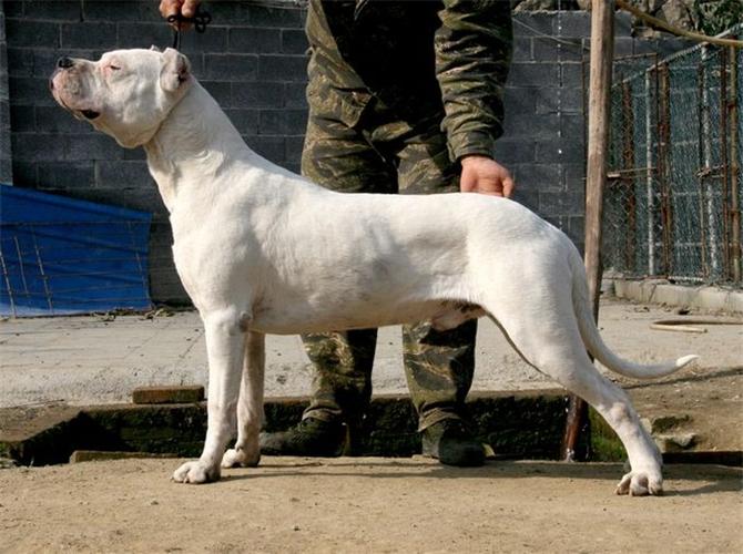 20221121223029_25828