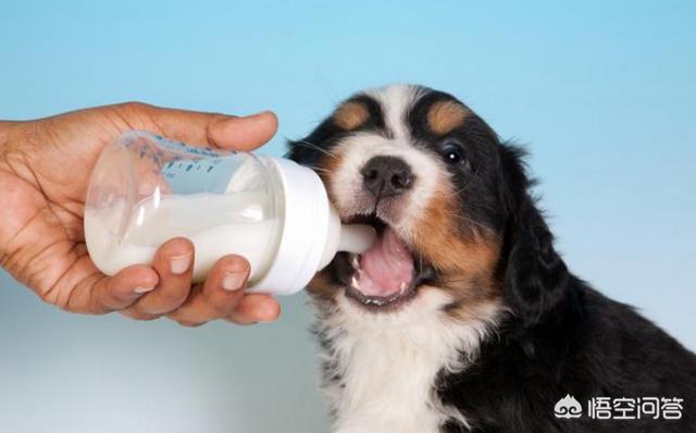 20221121230159_33546