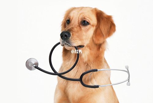 20221121231828_82000