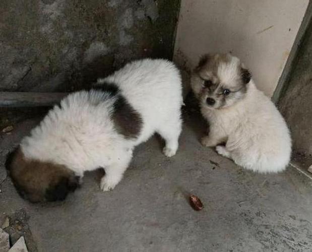 20221122015741_38017