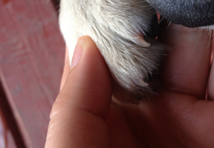 20221122085446_29603 20221122085446_29603