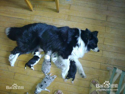 20221122114454_11102