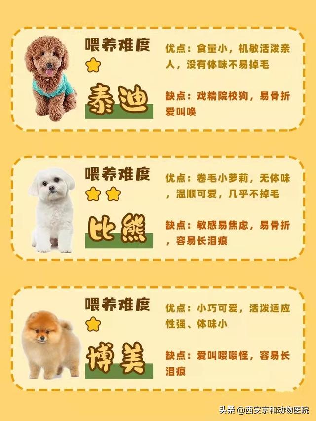 20221122115649_40488