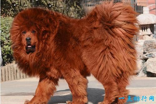 20221122131544_75573