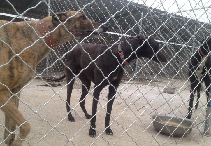 20221122153958_30742 20221122153958_30742