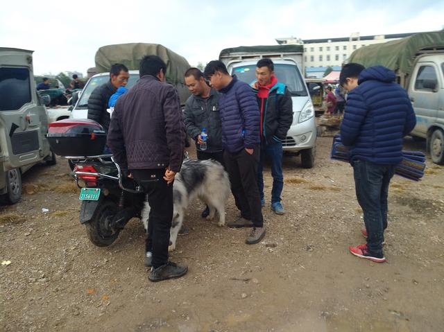 20221123083050_73709