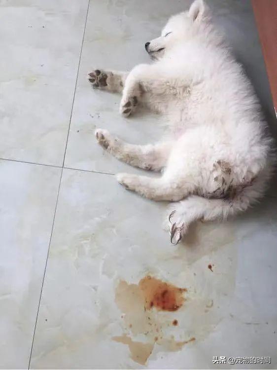 20221123084653_53078