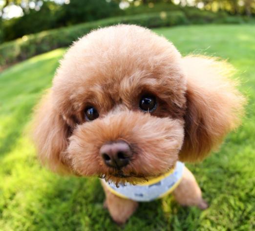 20221123102111_49157