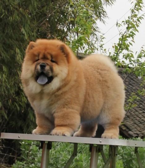 20221123185230_17955 20221123185230_17955