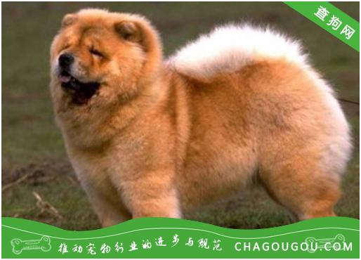 20221123185231_67353 20221123185231_67353