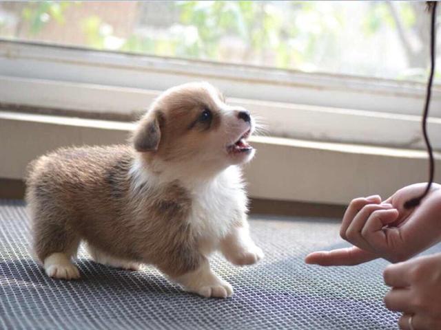 20221124083036_46709