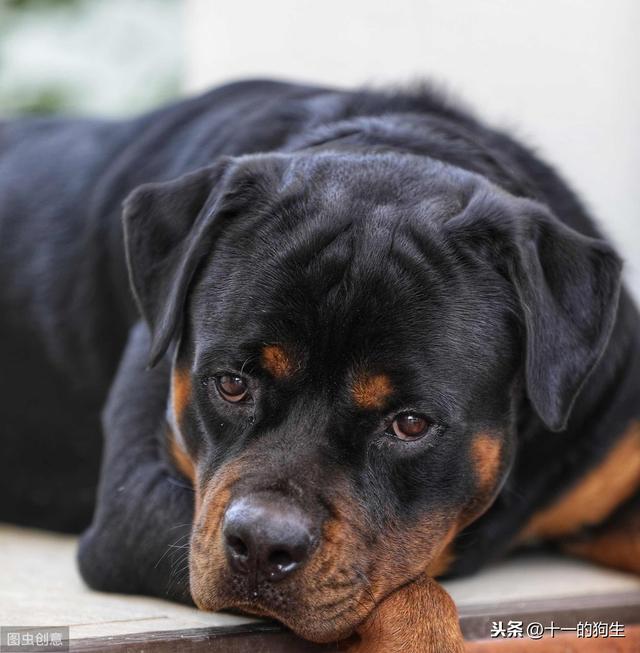 20221124094457_24817