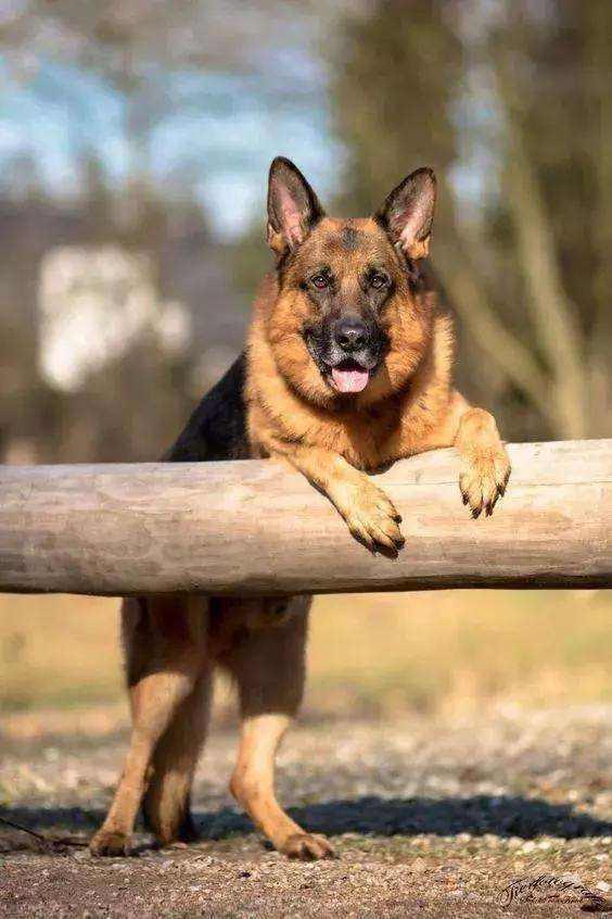 20221124115456_22687 20221124115456_22687