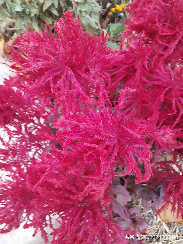 20221124124845_38774