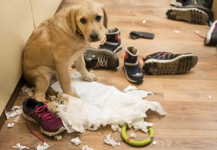 20221124143006_82833