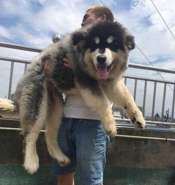 20221124151456_51129