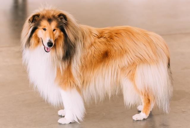 20221124151457_96893