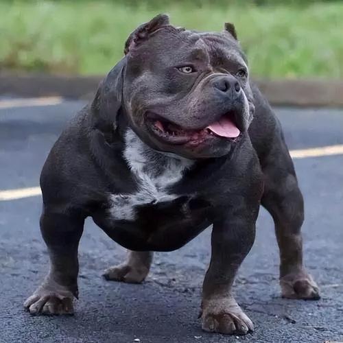 20221124175520_44412 20221124175520_44412