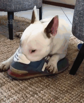 20221124183924_16689