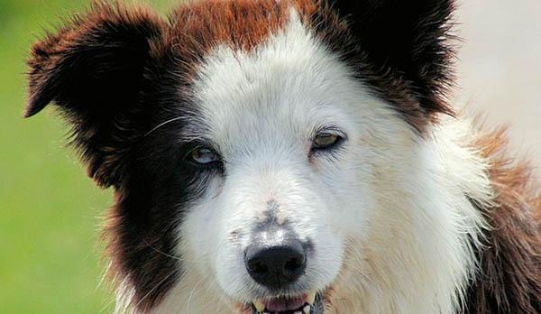 20221125131128_45233