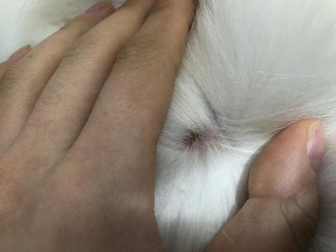 20221125134502_59380 20221125134502_59380