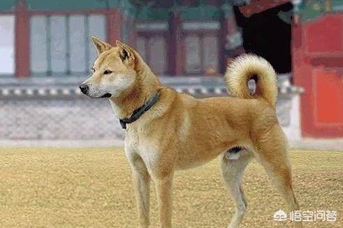 20221125143605_54749