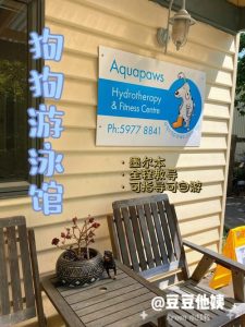 北京狗狗室内游泳馆(深圳狗狗游泳馆)-警犬训练器材厂家 _警犬训练用品_工作犬训练用品-南京开久警犬装备