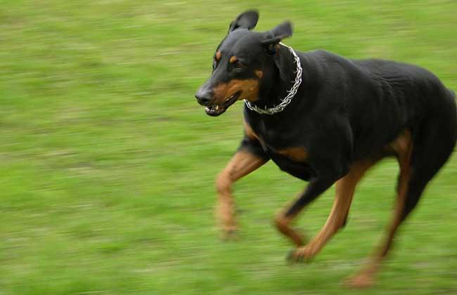 20221125163047_18069