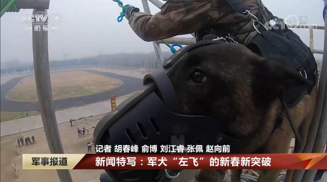 20221125194328_41317 20221125194328_41317