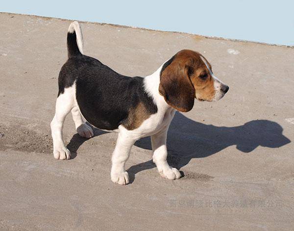 20221126154606_70259 20221126154606_70259