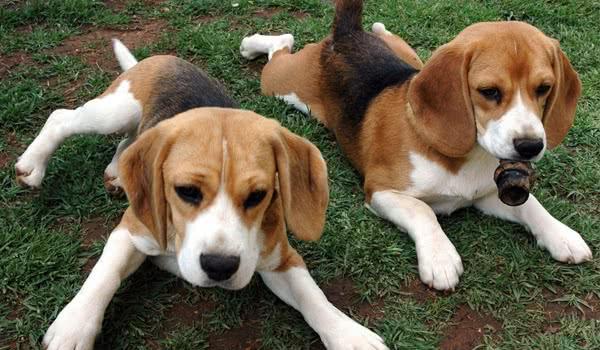 20221126154606_78732 20221126154606_78732