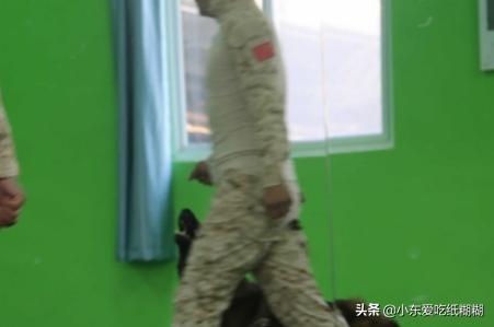 20221126182959_56679