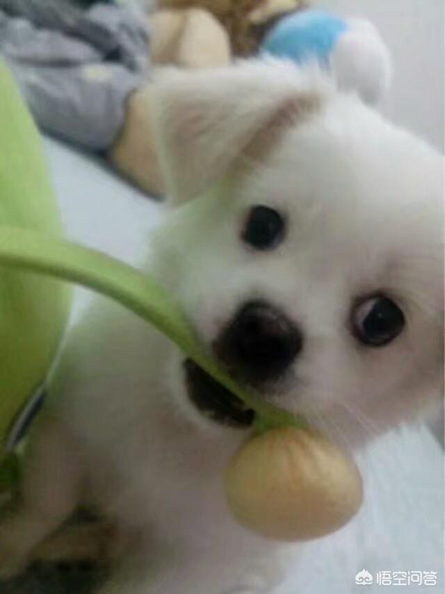 20221126183252_80716