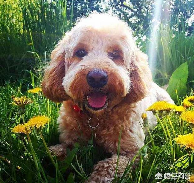 20221128205900_81706