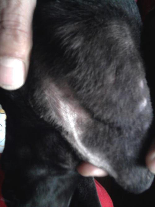 20221201153536_23891