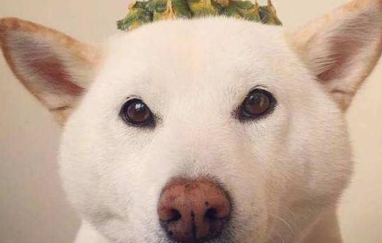 20221201162555_76342