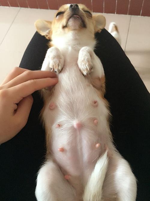 20221203083555_13951