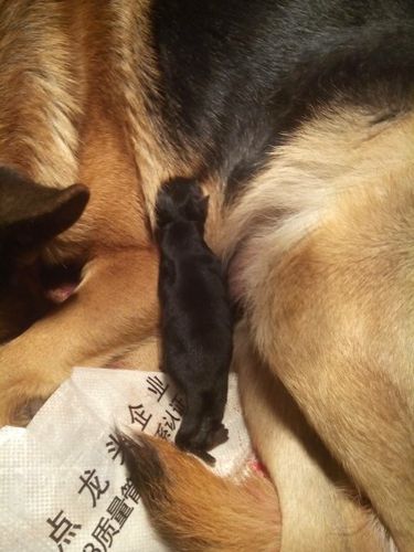 20221203083555_58659