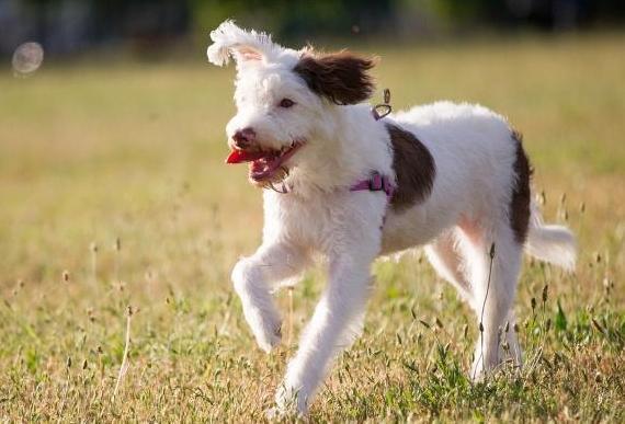 20221204194723_49901