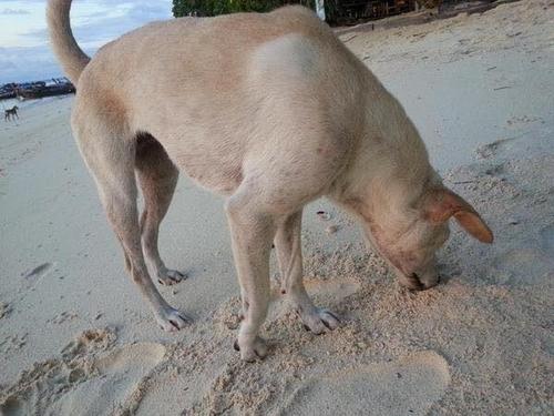 20221204194724_41302