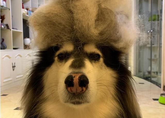 20221204234834_61939