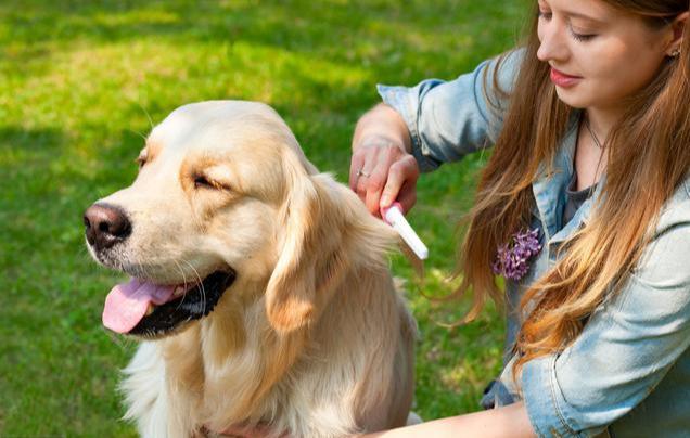 20221204234835_13656