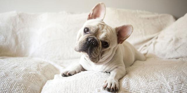 20221205003935_47368