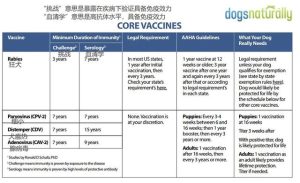 小狗打针打什么药好(被小狗咬了什么情况需要打针)-警犬训练器材厂家 _警犬训练用品_工作犬训练用品-南京开久警犬装备
