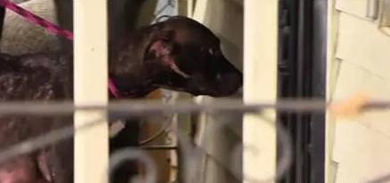 20221102112326_31671