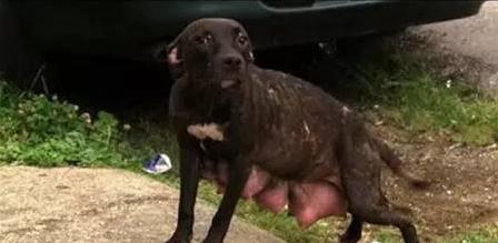 20221102112326_43530