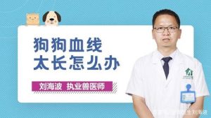 狗狗血小板太高_狗狗血小板太高 打止血针-警犬训练器材厂家 _警犬训练用品_工作犬训练用品-南京开久警犬装备