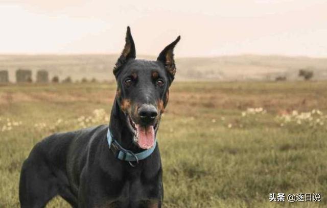 20221103004101_25995