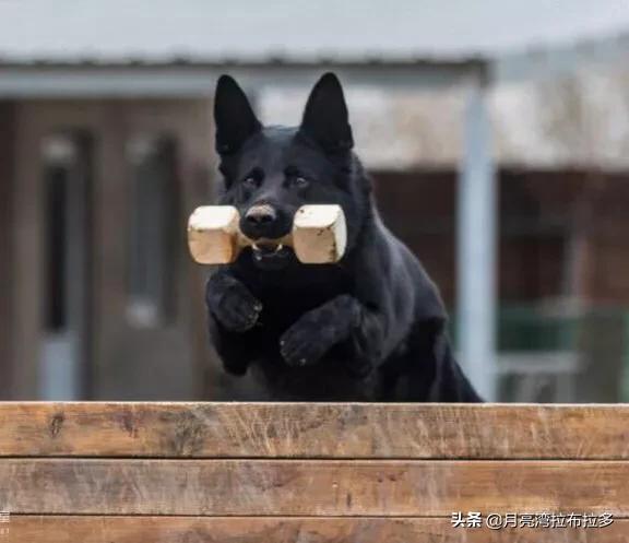 20221103004101_81121